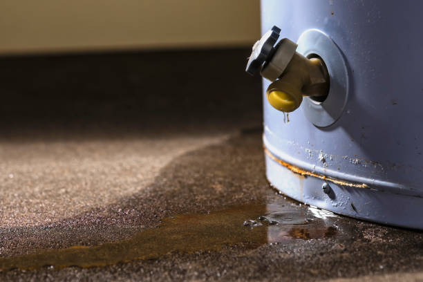 Best Water damage restoration near me  in North Lakeville, MA