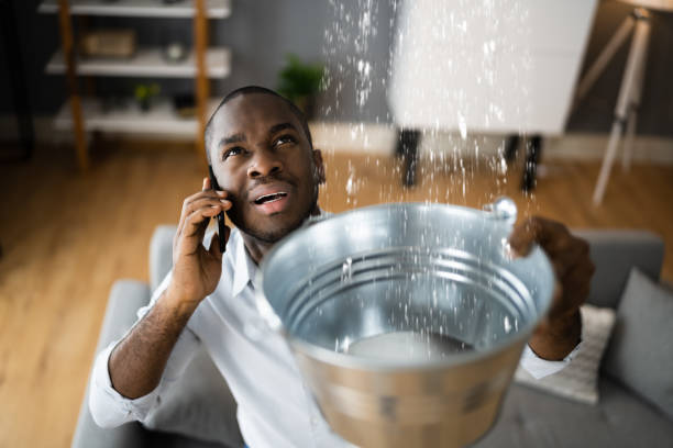 Best Professional water damage repair  in North Lakeville, MA
