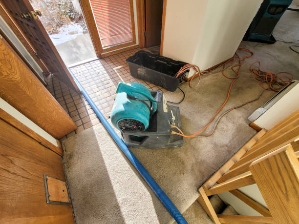 Best Water damage cleanup near me  in North Lakeville, MA
