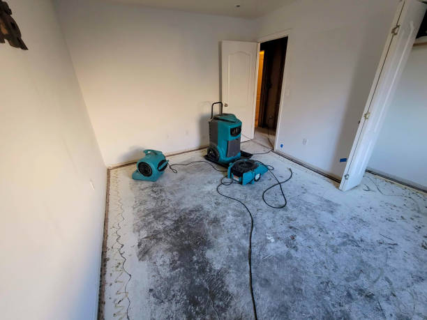 Best Water damage restoration near me  in North Lakeville, MA
