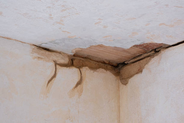 Best Residential water damage restoration  in North Lakeville, MA