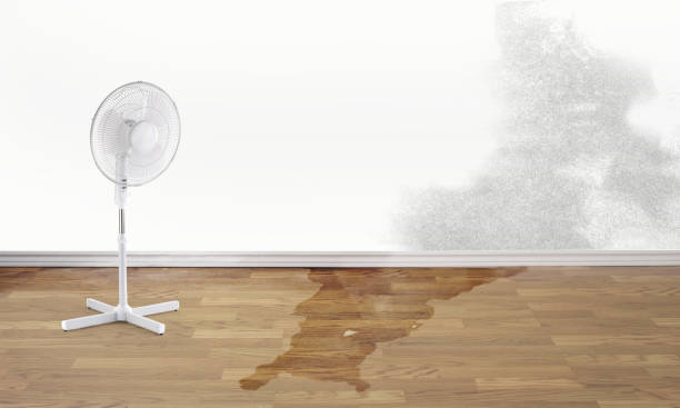 Water damage restoration experts in North Lakeville, MA