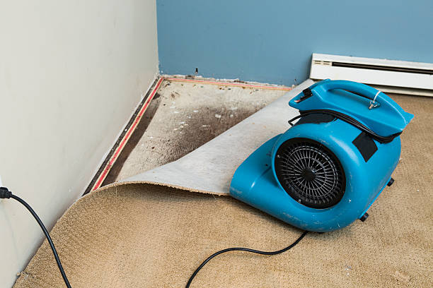 Best Flood damage cleanup  in North Lakeville, MA